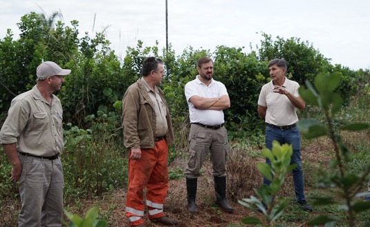 Imagen de Jornada de trabajo junto a productores, cooperativas y secaderos de Guaraní