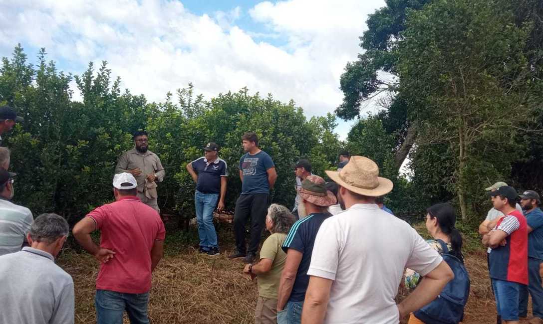 Imagen de C&oacute;mo logr&oacute; Ryzuk incrementar su cosecha, tema junto a m&aacute;s de 30 productores en San Vicente