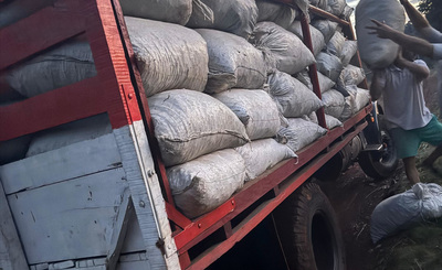 Imagen de El INYM intervino e inutilizó más de 5.000 kilos de palitos en un procedimiento en Colonia Guaraní