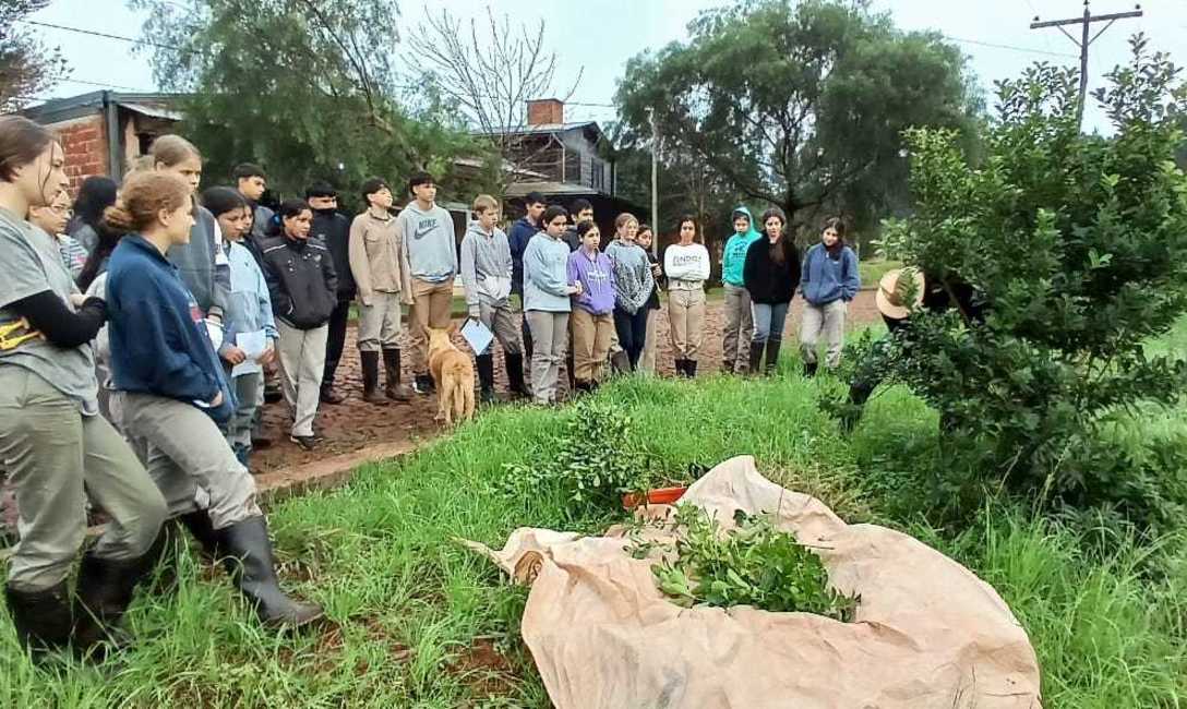 Imagen de Contin&uacute;an los trabajos para lograr yerbales sustentables