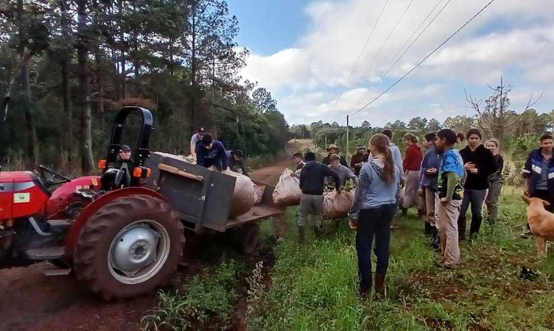 Imagen de Contin&uacute;an los trabajos para lograr yerbales sustentables