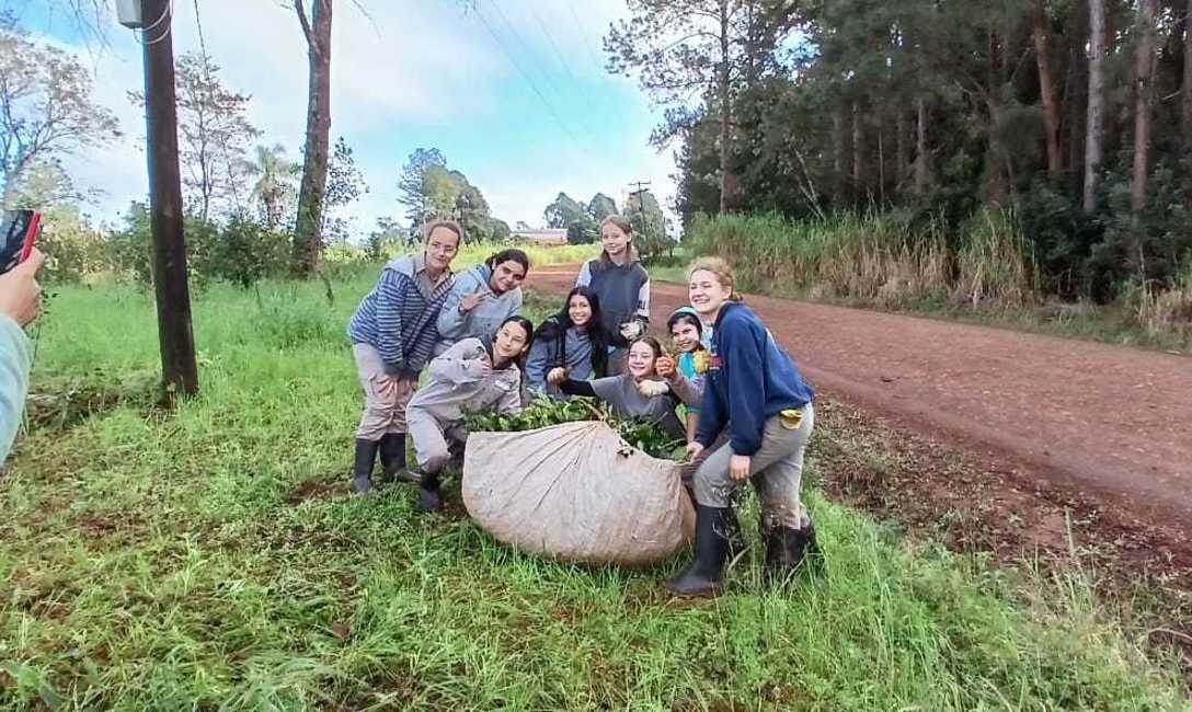 Imagen de Contin&uacute;an los trabajos para lograr yerbales sustentables