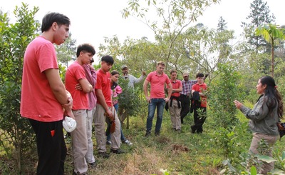 Imagen de Poda de formación y cosecha con estudiantes y productores en Guaraní