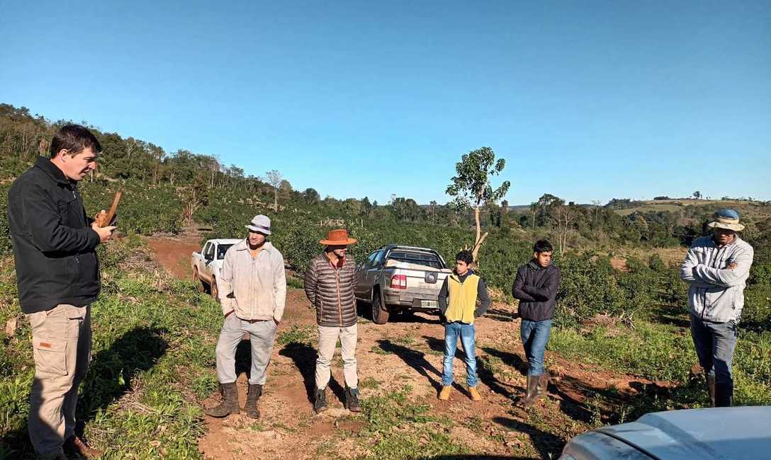 Imagen de C&oacute;mo cuidar las plantas y el suelo yerbatero