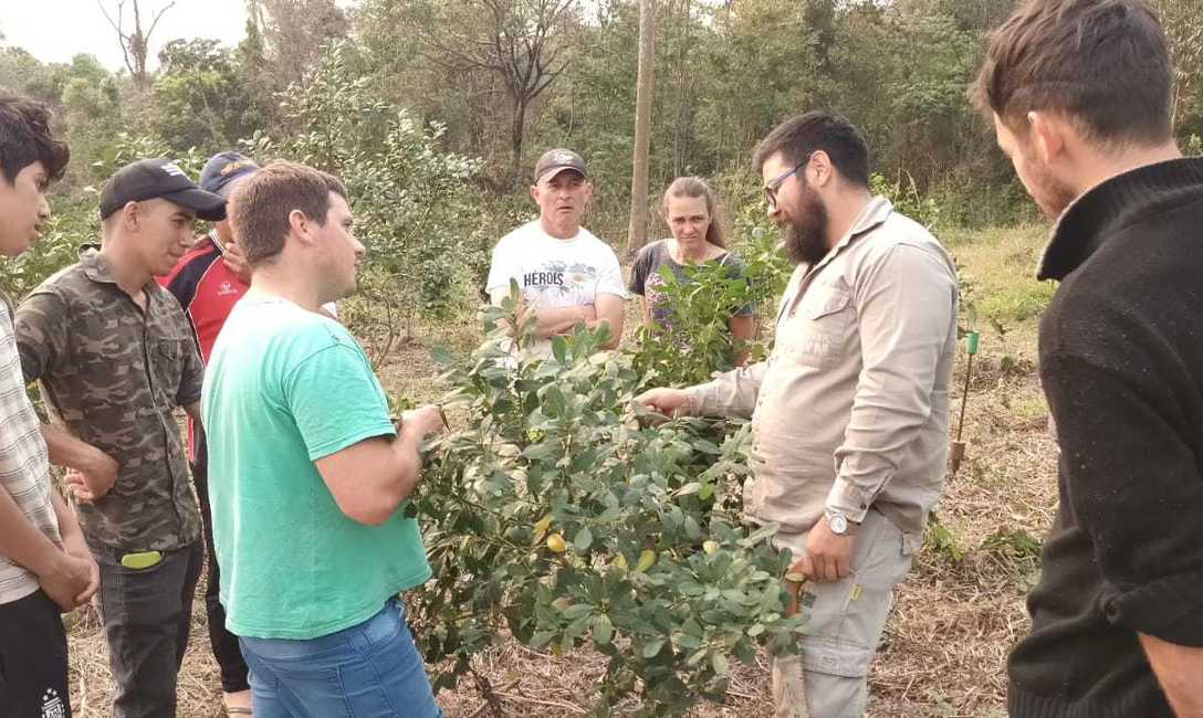 Imagen de C&oacute;mo cuidar las plantas y el suelo yerbatero