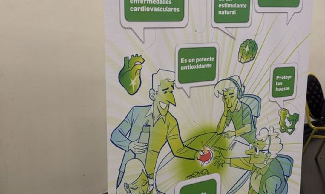 Imagen de La yerba mate, en Simposio Argentino de Hepatolog&iacute;a