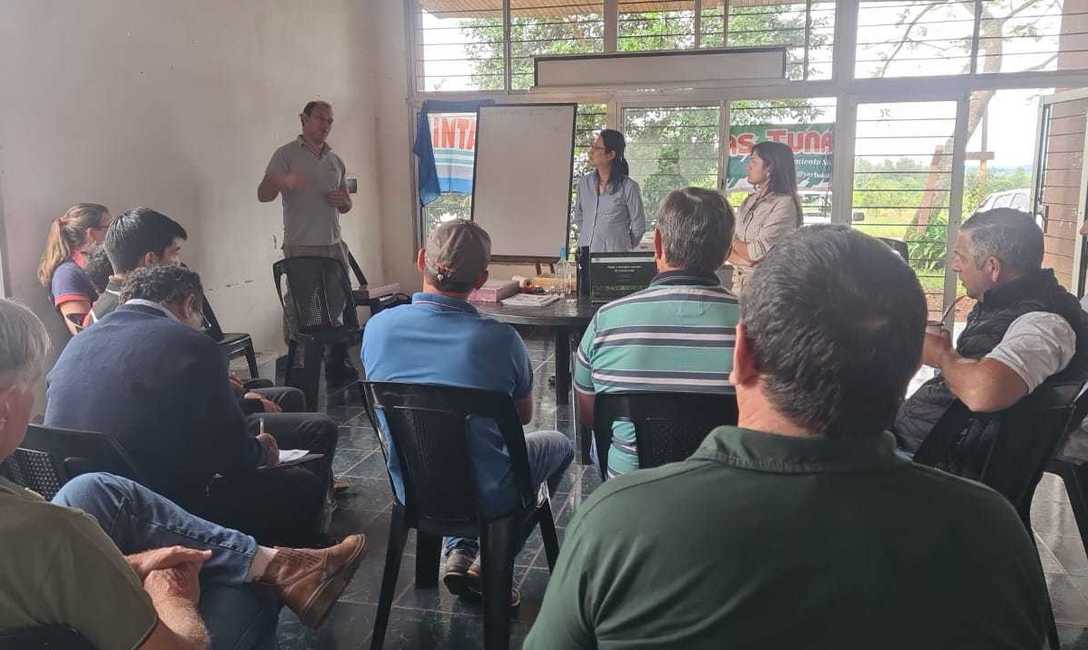 Imagen de Jornada sobre plagas en yerba mate