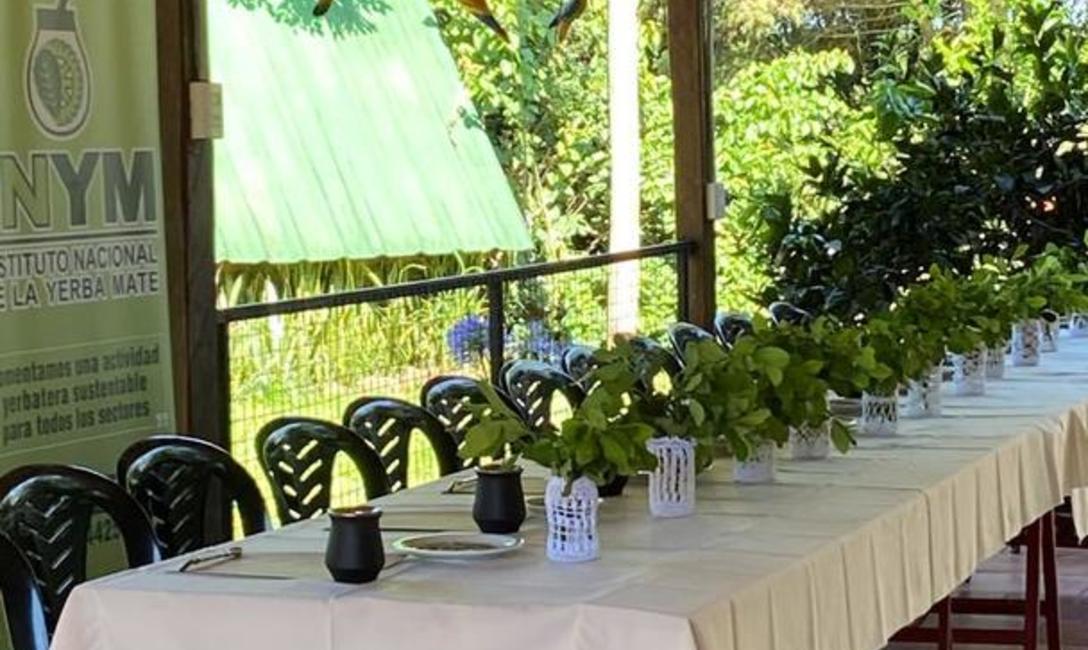 Imagen de Reinas nacionales conocieron m&aacute;s acerca de la yerba mate
