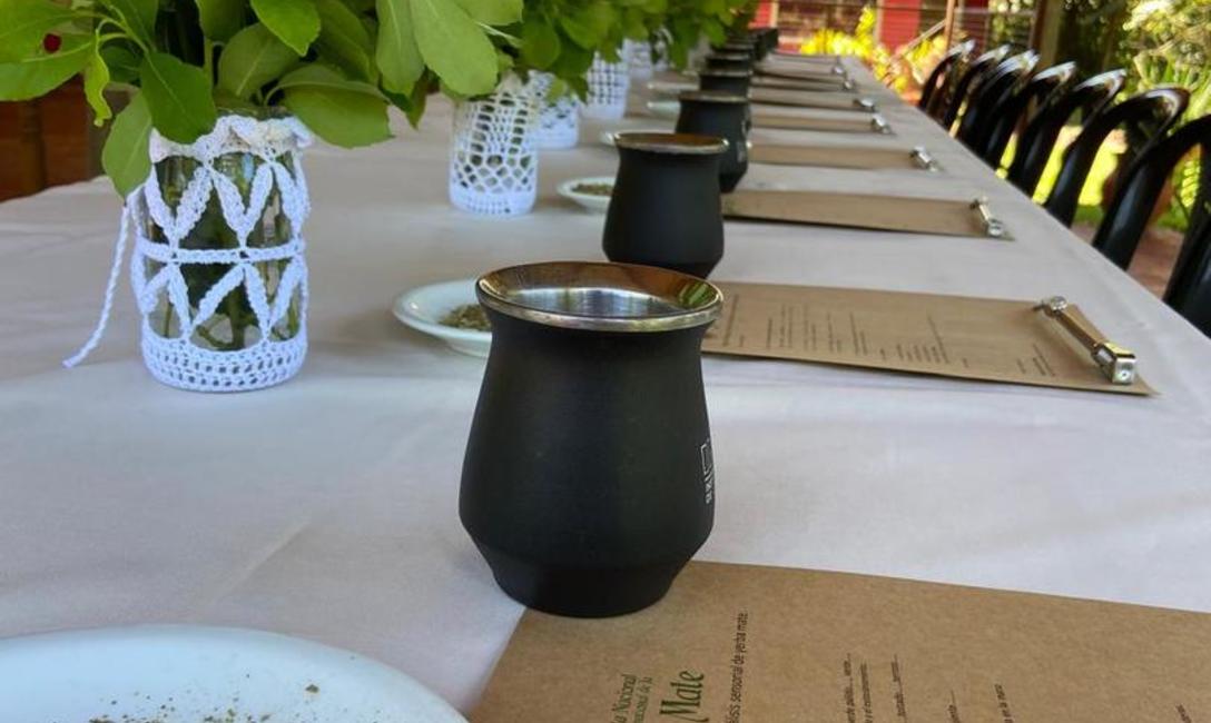 Imagen de Reinas nacionales conocieron m&aacute;s acerca de la yerba mate