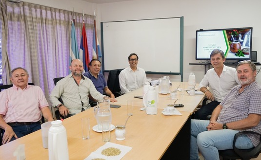 Imagen de Reunión en el INYM para potenciar las exportaciones de yerba mate a la India