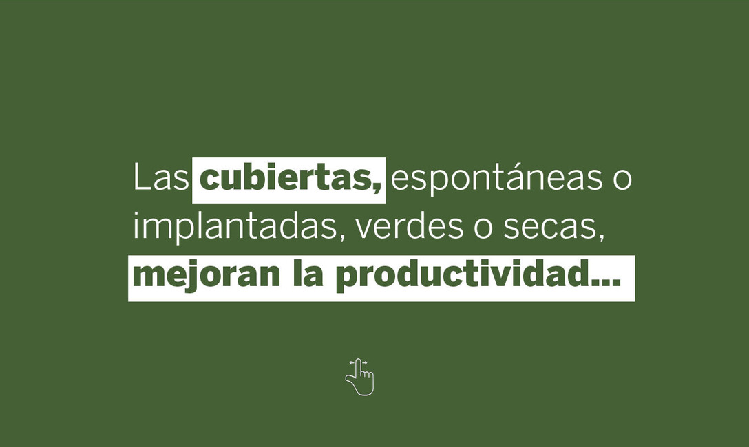 Imagen de Yerbales en verano: un suelo sin cobertura es dos veces m&aacute;s caliente que uno   con cubiertas verdes  y &aacute;rboles