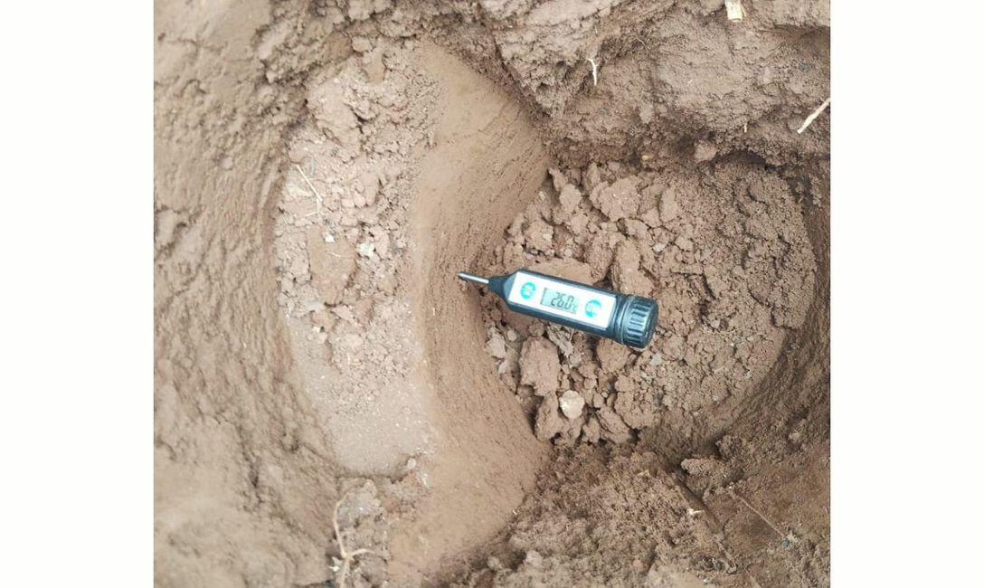 Imagen de En San Vicente: 69 grados de temperatura en suelos sin cobertura, y 29 en suelos con cobertura