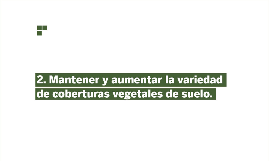 Imagen de Prevenci&oacute;n, la medida m&aacute;s importante para evitar Agalla en plantas de yerba mate