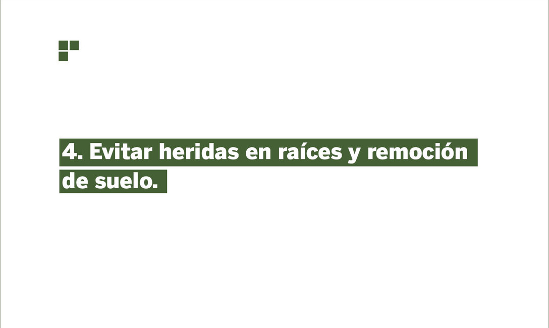 Imagen de Prevenci&oacute;n, la medida m&aacute;s importante para evitar Agalla en plantas de yerba mate