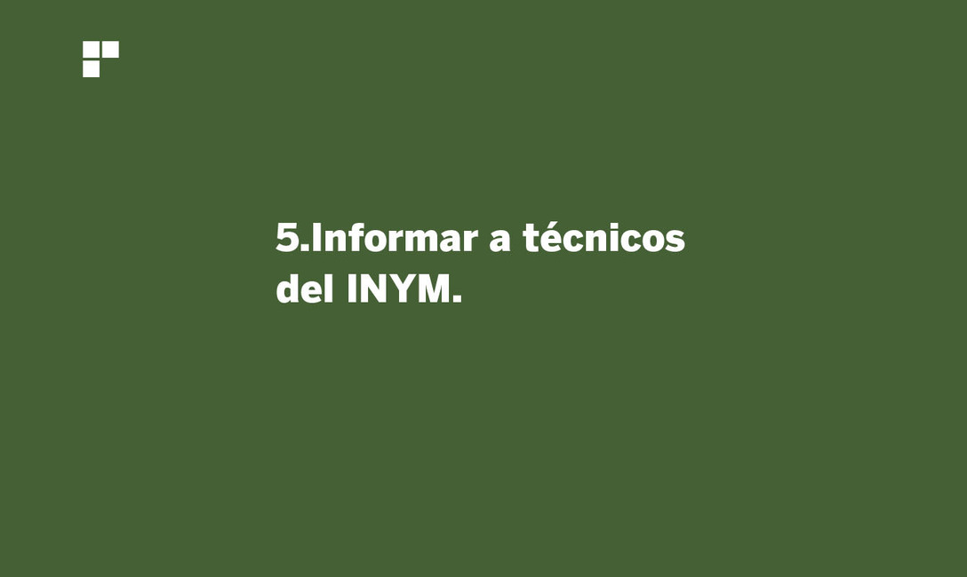 Imagen de Prevenci&oacute;n, la medida m&aacute;s importante para evitar Agalla en plantas de yerba mate