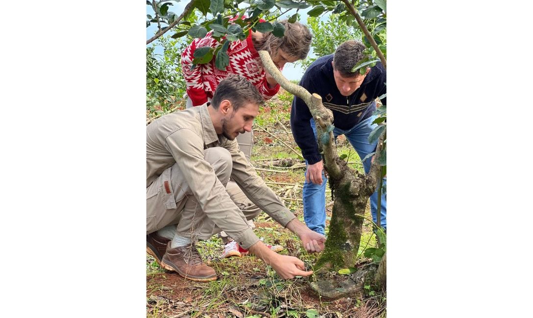 Imagen de Cumpliendo con los objetivos propuestos, el Servicio de Extensi&oacute;n del INYM   transita su quinto a&ntilde;o de trabajo junto a los productores