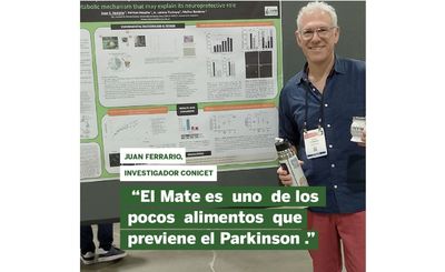 Imagen de El  Mate  previene  el  Parkinson, una enfermedad en  aumento en el  mundo