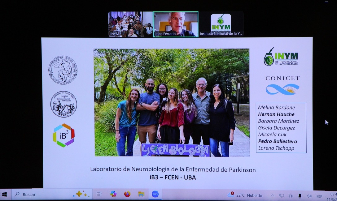 Imagen de El  Mate  previene  el  Parkinson, una enfermedad en  aumento en el  mundo