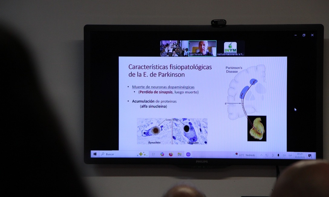 Imagen de El  Mate  previene  el  Parkinson, una enfermedad en  aumento en el  mundo