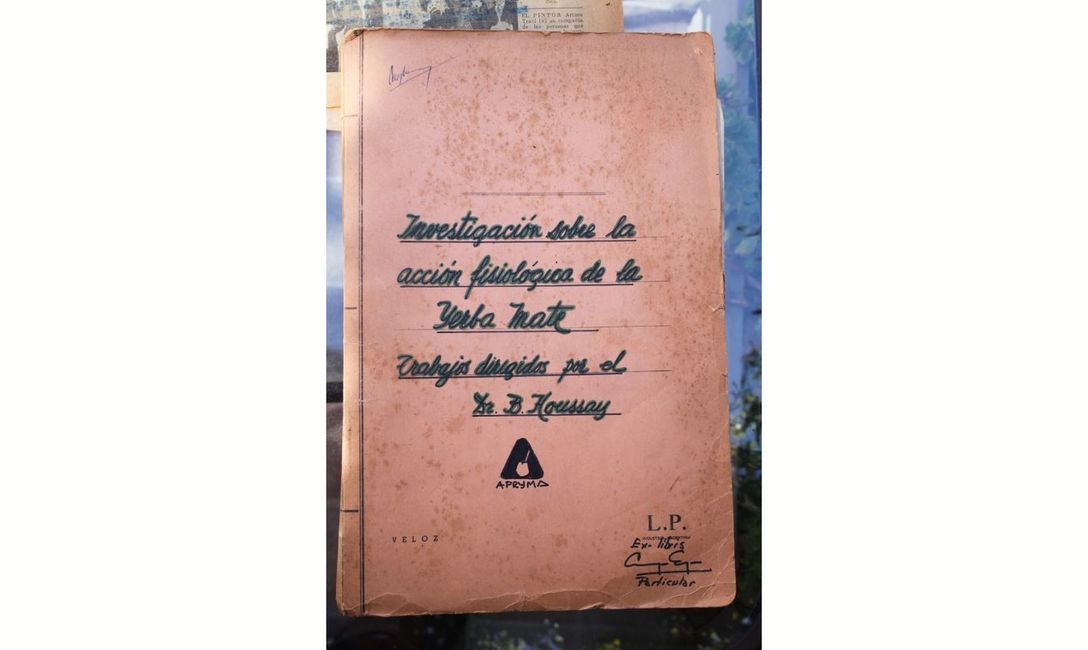 Imagen de Houssay, el cient&iacute;fico que puso a la Argentina en lo m&aacute;s alto de la ciencia mundial, fue el primero en estudiar los efectos de la Yerba Mate en la salud