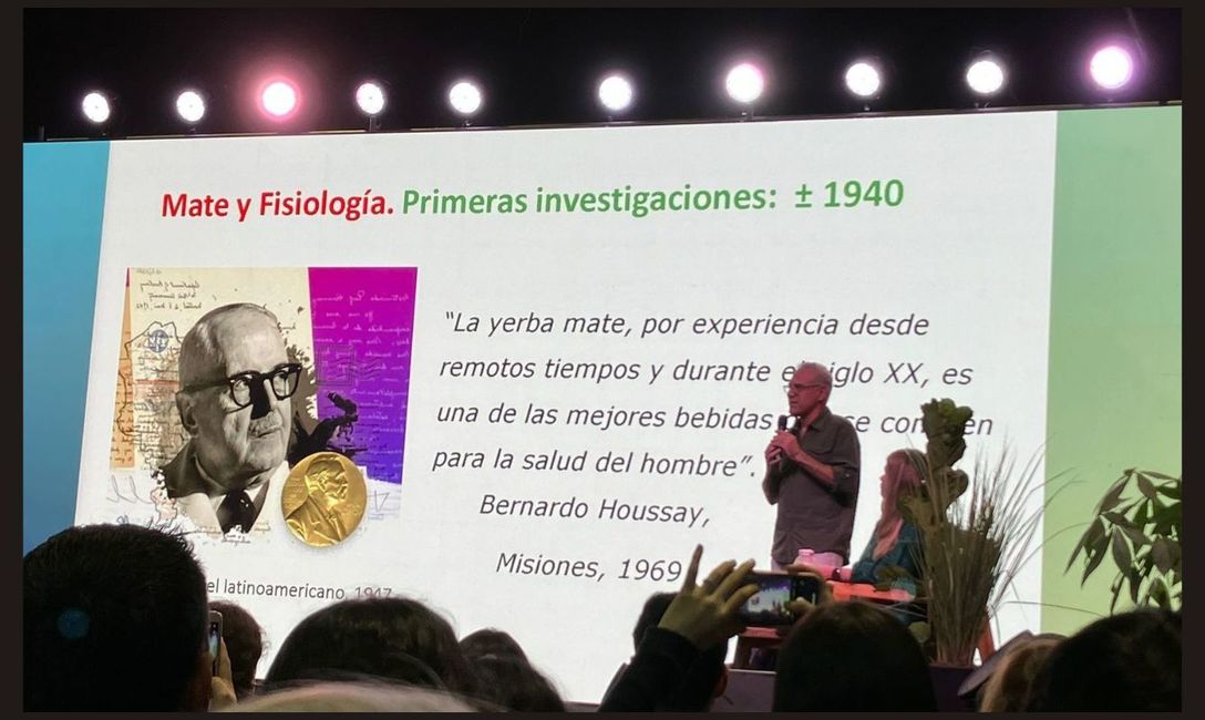 Imagen de Houssay, el cient&iacute;fico que puso a la Argentina en lo m&aacute;s alto de la ciencia mundial, fue el primero en estudiar los efectos de la Yerba Mate en la salud