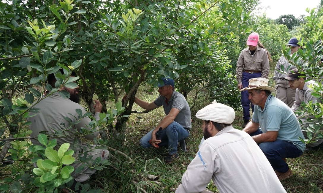 Imagen de Jornada de capacitaci&oacute;n con productores y estudiantes de San Pedro