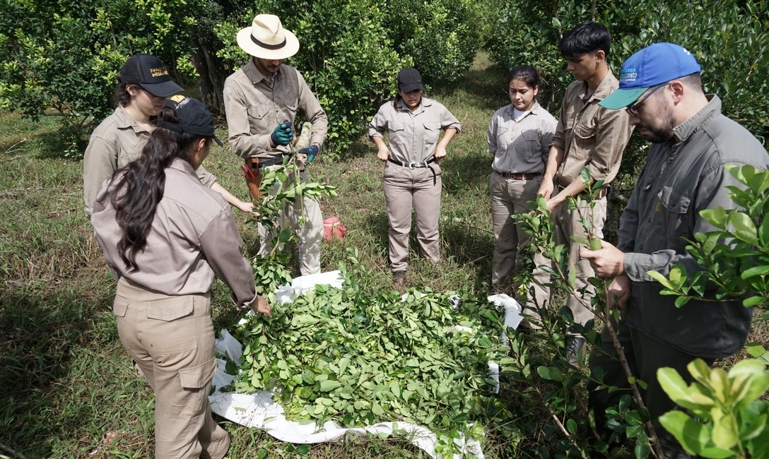 Imagen de Jornada de capacitaci&oacute;n con productores y estudiantes de San Pedro