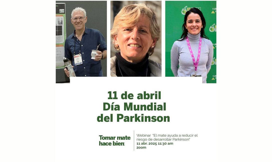 Imagen de En el D&iacute;a Mundial del Parkinson, cient&iacute;ficos argentinos cuentan c&oacute;mo el Mate reduce el riesgo de desarrollar la enfermedad