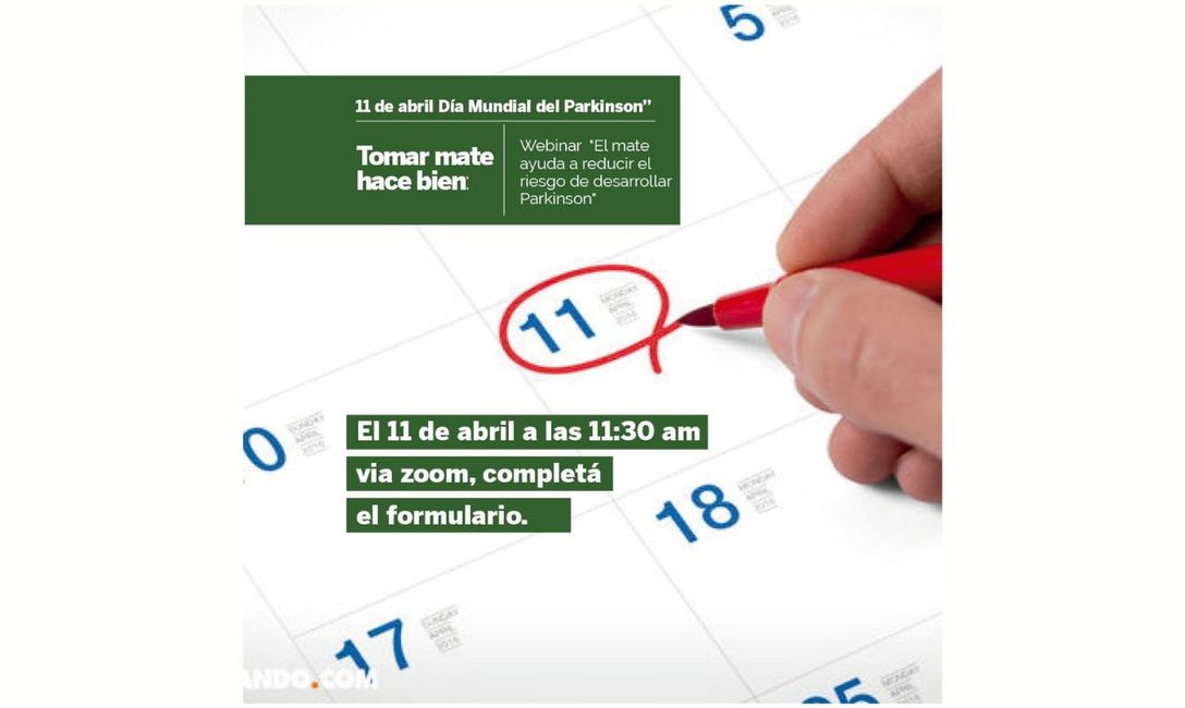 Imagen de En el D&iacute;a Mundial del Parkinson, cient&iacute;ficos argentinos cuentan c&oacute;mo el Mate reduce el riesgo de desarrollar la enfermedad