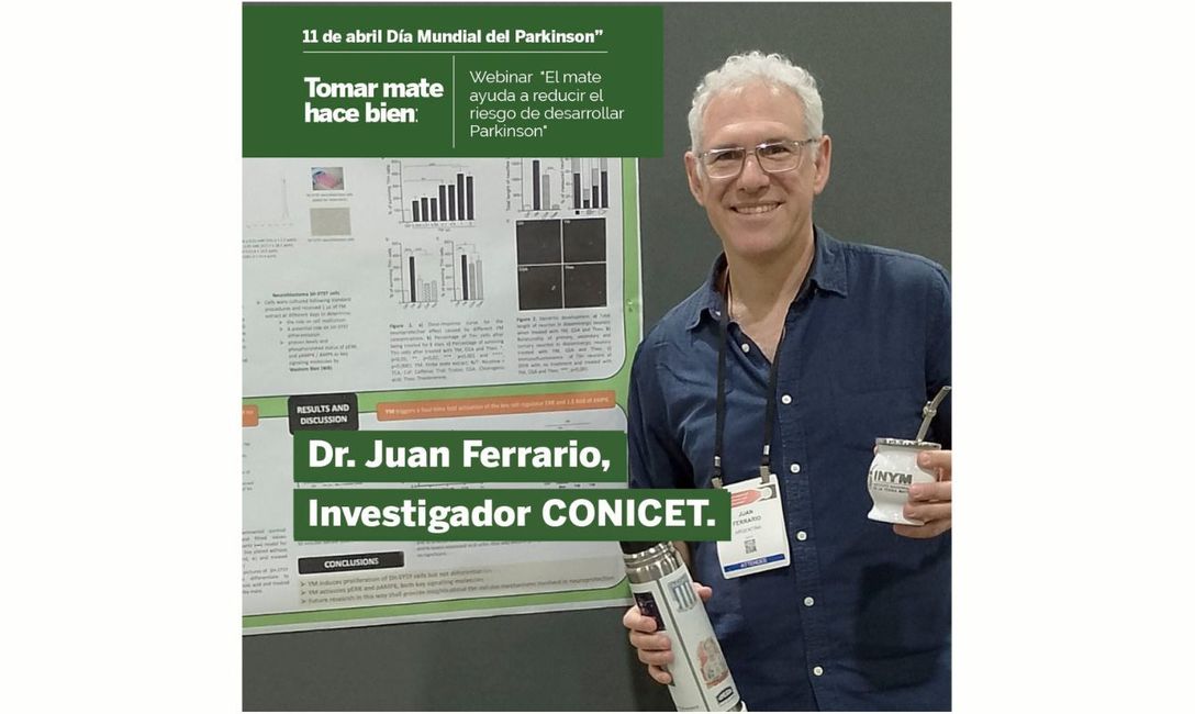 Imagen de En el D&iacute;a Mundial del Parkinson, cient&iacute;ficos argentinos cuentan c&oacute;mo el Mate reduce el riesgo de desarrollar la enfermedad
