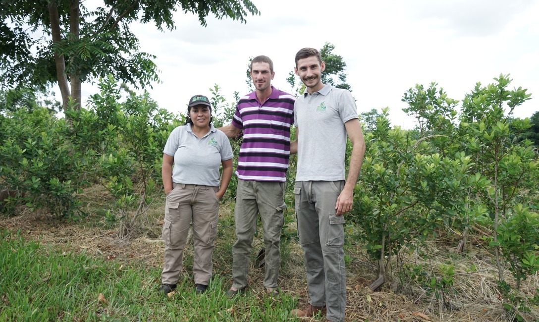 Imagen de J&oacute;venes apuestan a la vida en la chacra con pr&aacute;cticas sustentables en viejos y nuevos yerbales