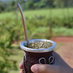 Imagen de Las ventas de yerba mate superaron los 105 millones de kilos al cierre de abril