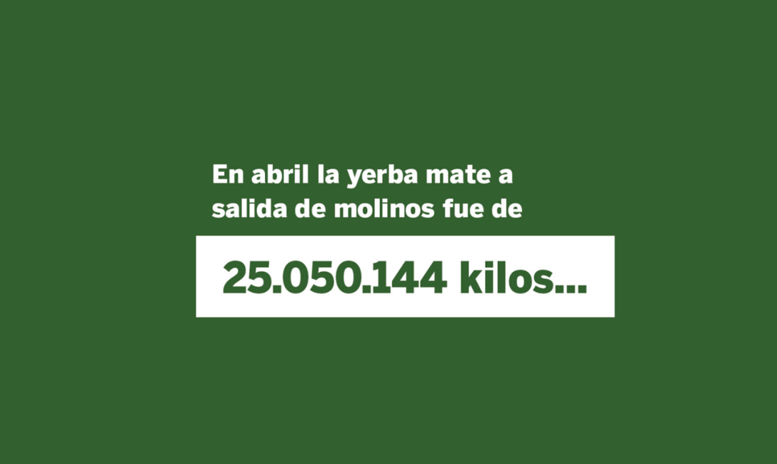 Imagen de Las ventas de yerba mate superaron los 105 millones de kilos al cierre de abril