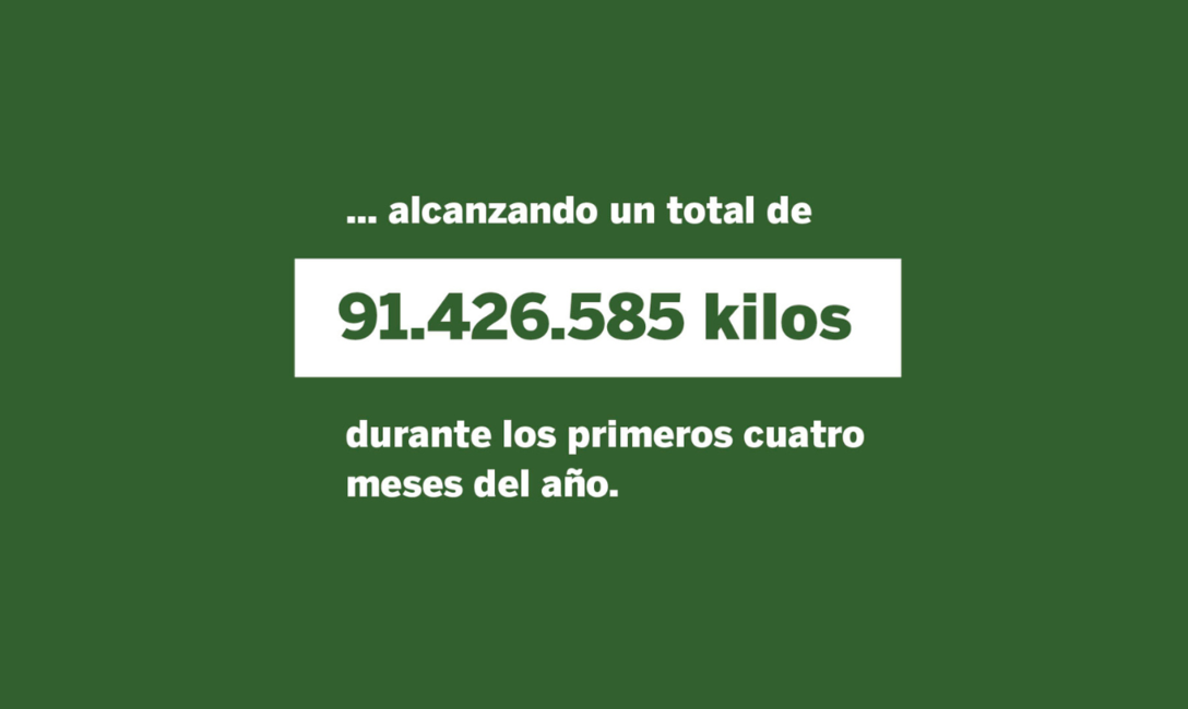 Imagen de Las ventas de yerba mate superaron los 105 millones de kilos al cierre de abril