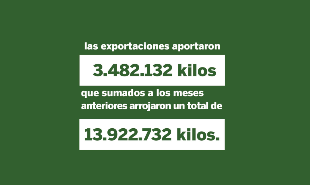 Imagen de Las ventas de yerba mate superaron los 105 millones de kilos al cierre de abril