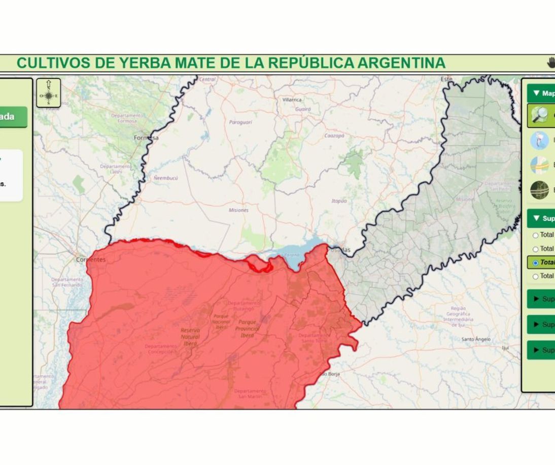 Imagen de El INYM creó el primer mapa interactivo de yerba mate de la Argentina