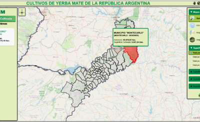 Imagen de El INYM creó el primer mapa interactivo de yerba mate de la Argentina