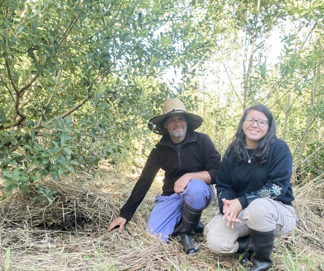Imagen de Manejo agroecológico de yerba mate, una propuesta sustentable y con buenos rendimientos