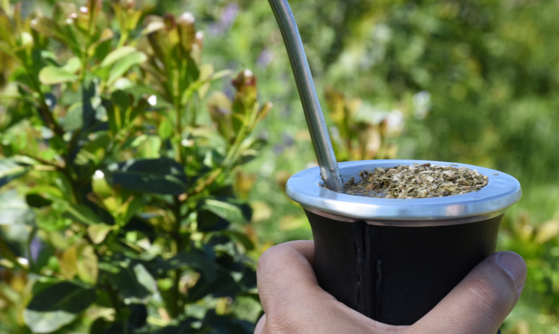 Imagen de Las ventas de yerba mate sumaron 135,6 millones de kilos al cierre de mayo