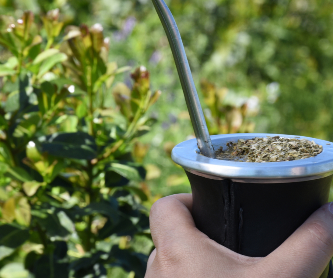 Imagen de Las ventas de yerba mate sumaron 135,6 millones de kilos al cierre de mayo