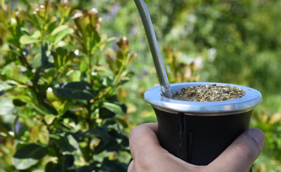 Imagen de Las ventas de yerba mate sumaron 135,6 millones de kilos al cierre de mayo