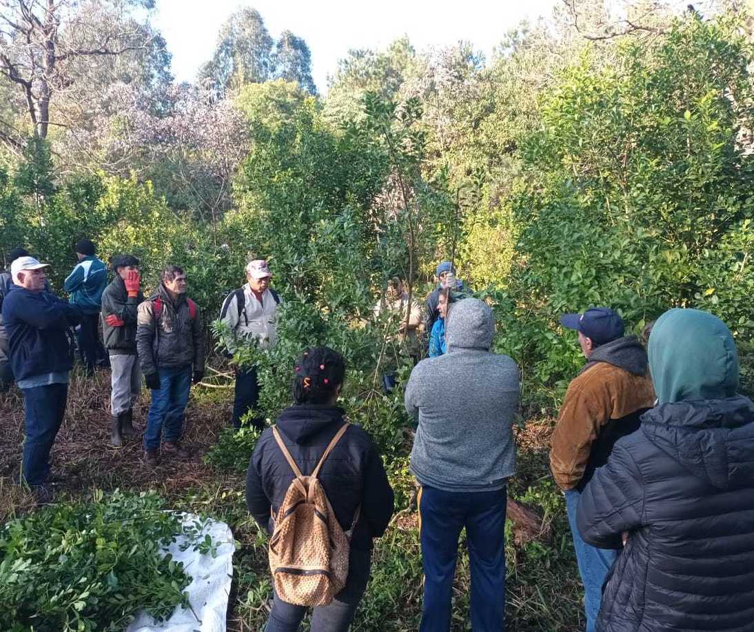 Imagen de Capacitación para trabajadores rurales en Eldorado e Itacaruaré