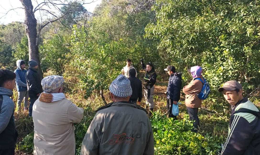 Imagen de Capacitaci&oacute;n para trabajadores rurales en Eldorado e Itacaruar&eacute;