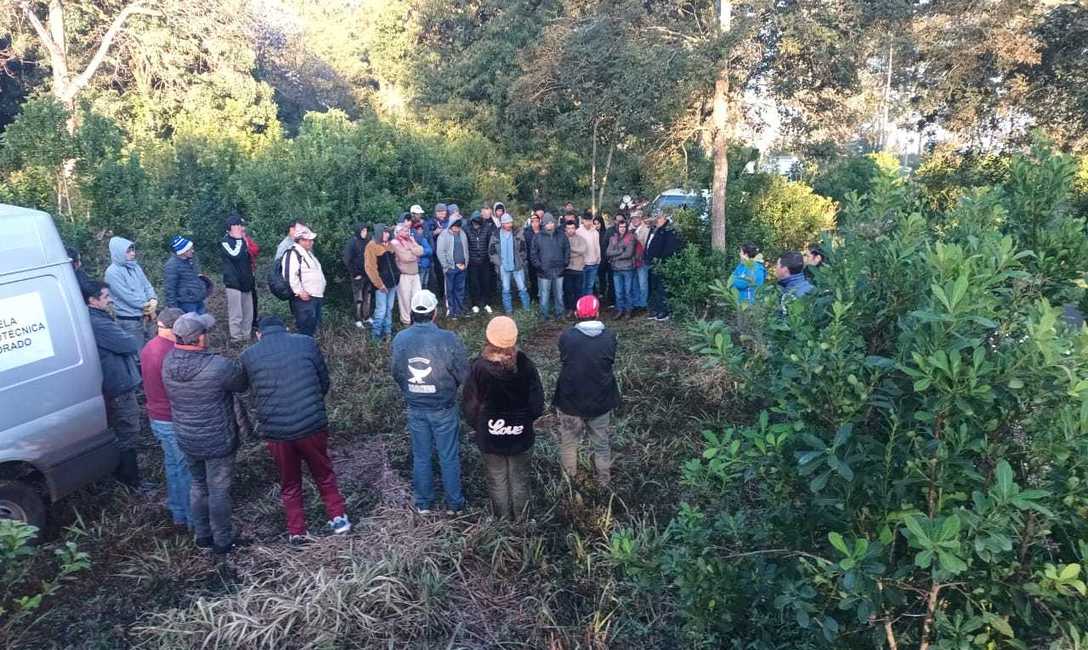 Imagen de Capacitaci&oacute;n para trabajadores rurales en Eldorado e Itacaruar&eacute;