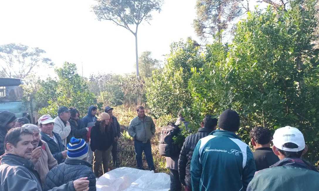 Imagen de Capacitaci&oacute;n para trabajadores rurales en Eldorado e Itacaruar&eacute;