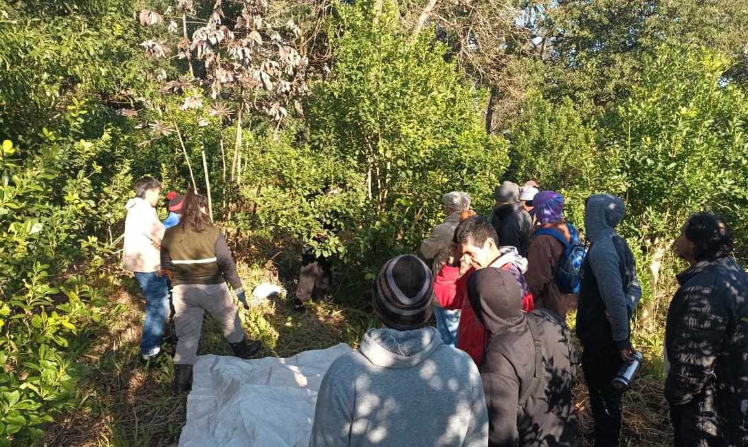 Imagen de Capacitaci&oacute;n para trabajadores rurales en Eldorado e Itacaruar&eacute;