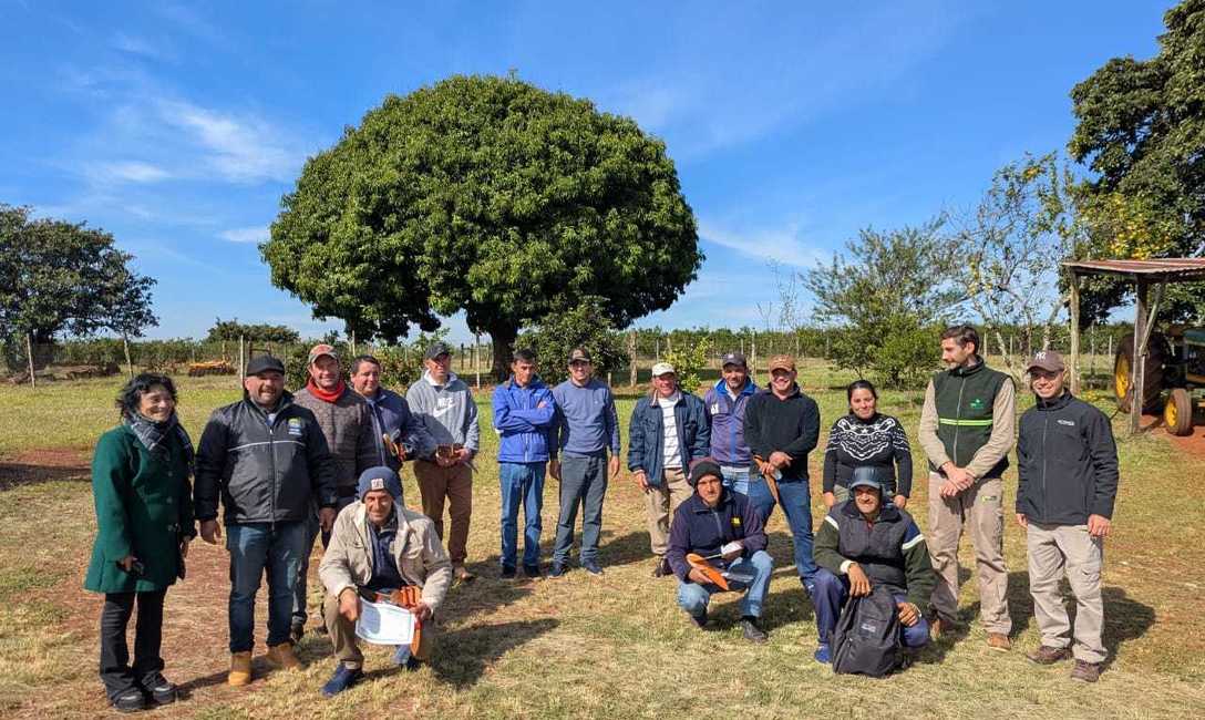 Imagen de Capacitaci&oacute;n para trabajadores rurales en Eldorado e Itacaruar&eacute;