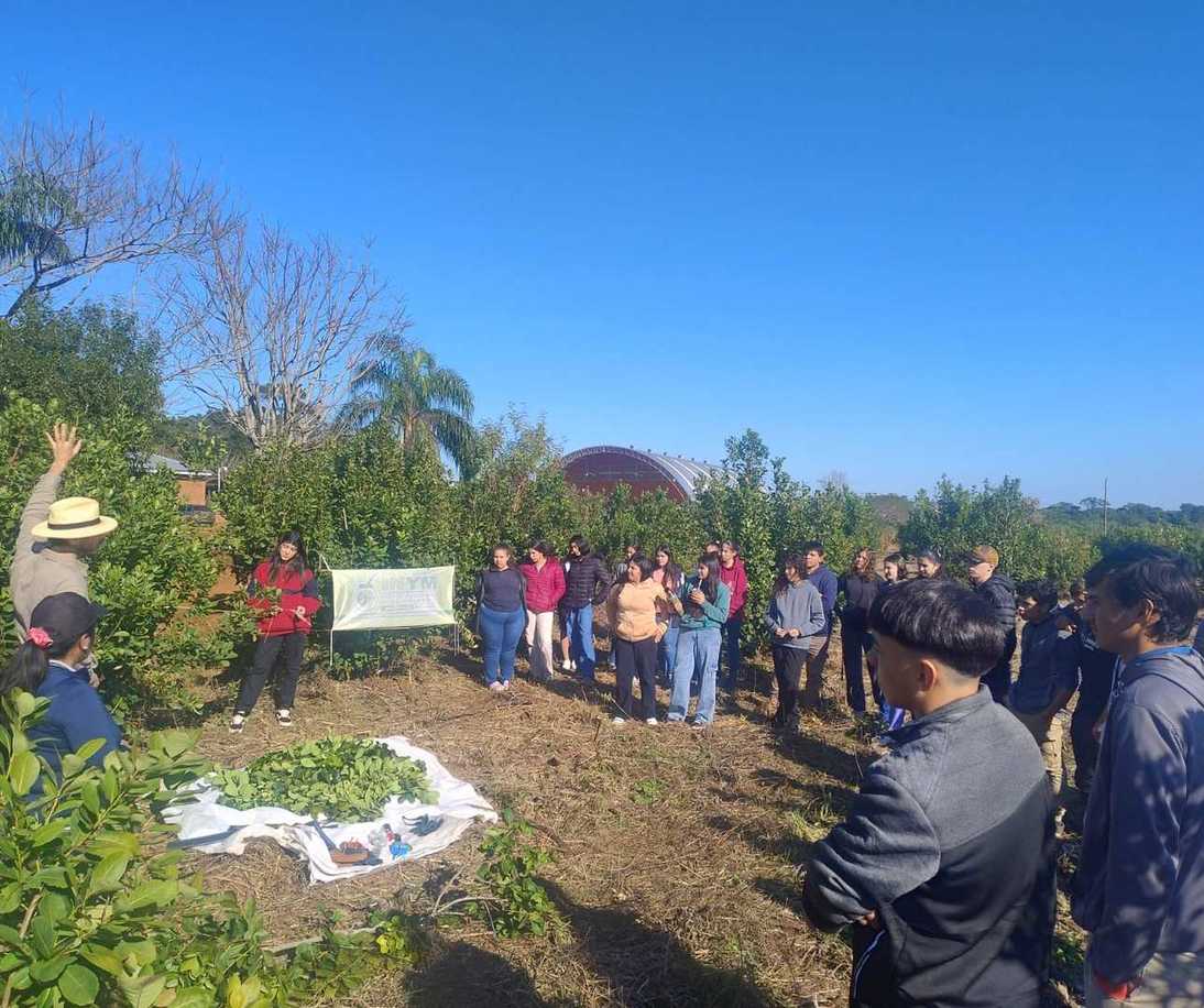 Imagen de Jornada sobre técnicas de cosecha en la EFA Cristo Rey en Los Helechos