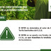 Imagen de El INYM no determina la Tarifa Sustitutiva del Convenio de Corresponsabilidad Gremial (C.C.G.) de la Actividad Yerbatera