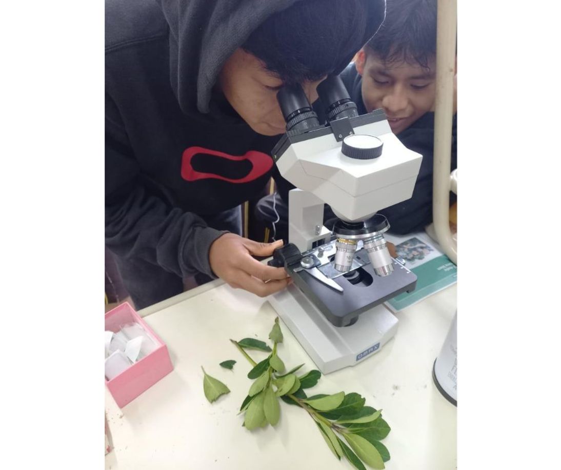 Imagen de El Mate en la Escuela, multiplicador del hábito saludable, conocimientos y proyectos
